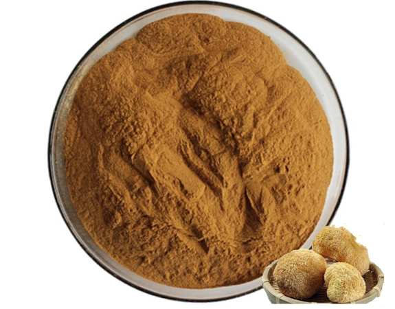 lion's mane mushroom extract powder.png